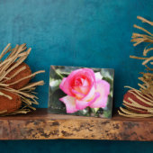 Rosa Princesse de Monaco: Fotoplark Fotoplatte (Seite)