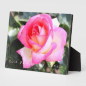 Rosa Princesse de Monaco: Fotoplark Fotoplatte (Seite)