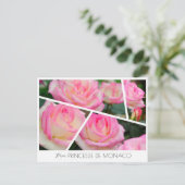 Rosa Princesse de Monaco Postkarte (Stehend Vorderseite)
