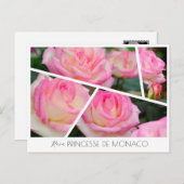 Rosa Princesse de Monaco Postkarte (Vorne/Hinten)