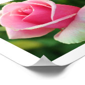 Rosa Printwerbung Poster (Ecke)