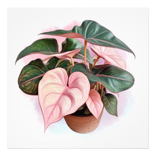 Rosa Prinzessin Philodenron im Pot Fotodruck (Vorne)