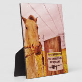 Rosa Privateigentümerpferd Fotoplatte (Seite)