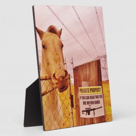 Rosa Privateigentümerpferd Fotoplatte (Seite)