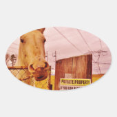Rosa Privateigentümerpferd Ovaler Aufkleber (Vorderseite)