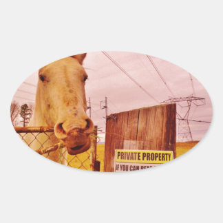 Rosa Privateigentümerpferd Ovaler Aufkleber