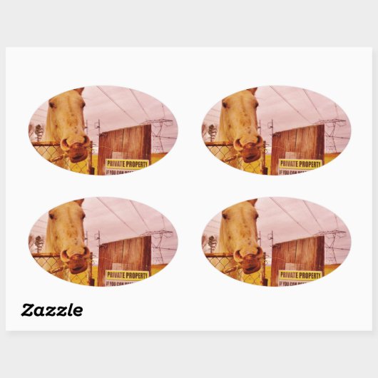 Rosa Privateigentümerpferd Ovaler Aufkleber (Blatt)