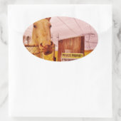 Rosa Privateigentümerpferd Ovaler Aufkleber (Tasche)