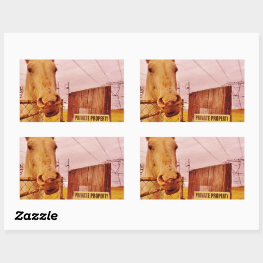 Rosa Privateigentümerpferd Rechteckiger Aufkleber (Blatt)