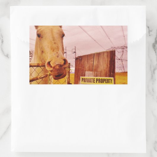 Rosa Privateigentümerpferd Rechteckiger Aufkleber (Tasche)