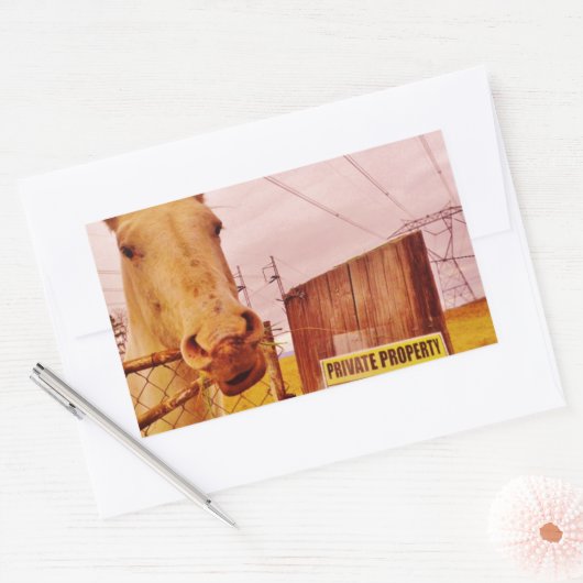 Rosa Privateigentümerpferd Rechteckiger Aufkleber (Umschlag)