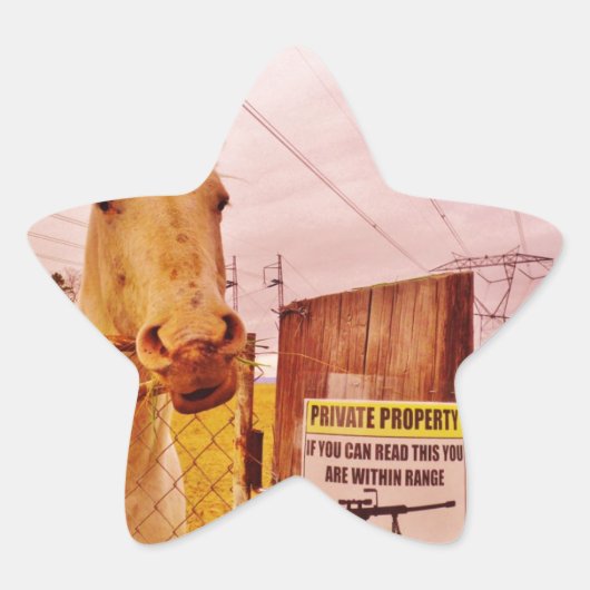Rosa Privateigentümerpferd Stern-Aufkleber (Vorderseite)