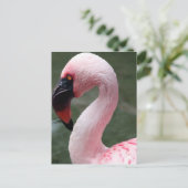 rosa Profil Postkarte (Stehend Vorderseite)