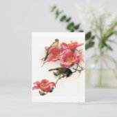 rosa Profusion Postkarte (Stehend Vorderseite)