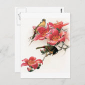 rosa Profusion Postkarte (Vorne/Hinten)