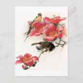 rosa Profusion Postkarte (Vorderseite)