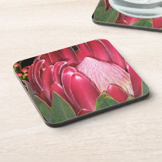 Rosa Protea-Blume Untersetzer (Linke Seite)