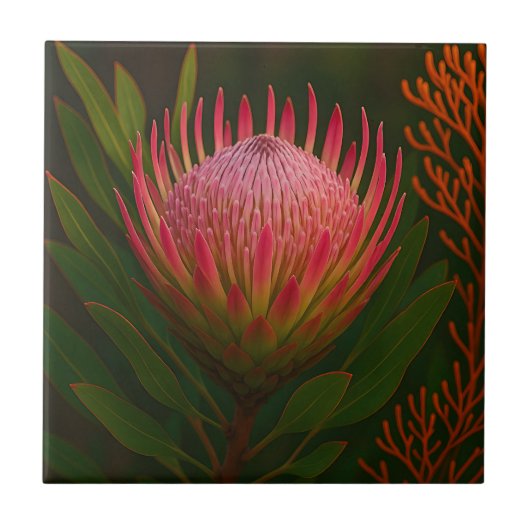 Rosa Protea-Blüte exotische Blüte Fliese (Vorderseite)
