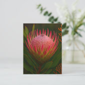 Rosa Protea-Blüte exotische Blüte Postkarte (Stehend Vorderseite)