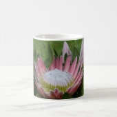 Rosa Protea-Blüte Kaffeetasse (Mittel)