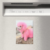 Rosa Pudel-Magnet Magnet (In Situ (Geschirrspüler))