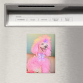 Rosa Pudel-Magnet, rosa Pudel-Geschenk Magnet (In Situ (Geschirrspüler))