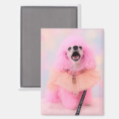 Rosa Pudel-Magnet, rosa Pudel-Geschenk Magnet (Vorderseite/Rückseite)