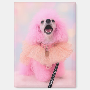 Rosa Pudel-Magnet, rosa Pudel-Geschenk Magnet