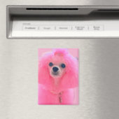 Rosa Pudel-Magnet, rosa Pudel-Geschenkmagnet Magnet (In Situ (Geschirrspüler))