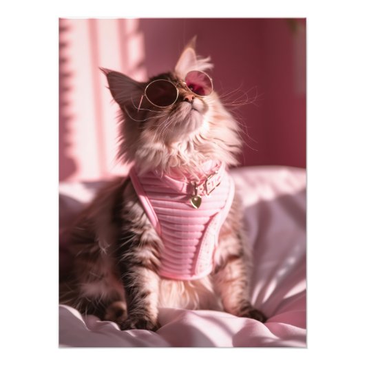Rosa Purfektion: Chic Cat im Stil Fotodruck (Vorne)