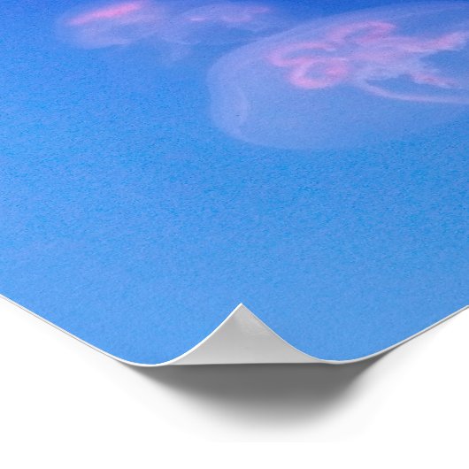 Rosa Quallen in blauem Wasser Poster (Ecke)