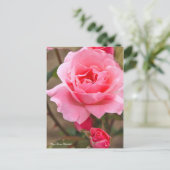 Rosa Queen Elizabeth ポ [Postcard] ス ト ド Postkarte (Stehend Vorderseite)