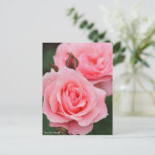 Rosa Queen Elizabeth: Postcard Postkarte (Stehend Vorderseite)