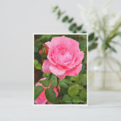 Rosa Queen Elizabeth Postkarte (Stehend Vorderseite)