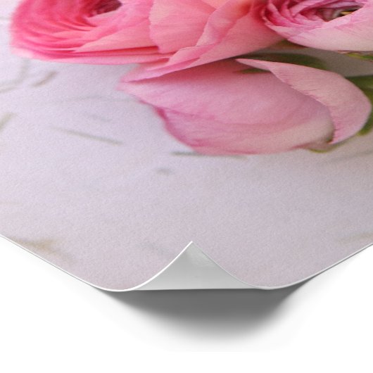 Rosa Ranunculus auf strukturiertem Hintergrund Poster (Ecke)