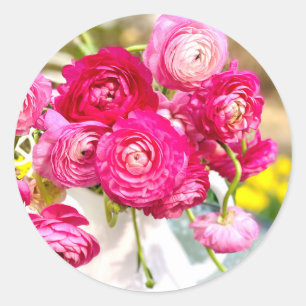Rosa Ranunculus Classic Round Stickers