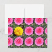 Rosa Ranunculus und gelbe Marigold Postkarte (Vorne/Hinten)