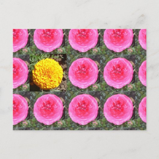 Rosa Ranunculus und gelbe Marigold Postkarte (Vorderseite)