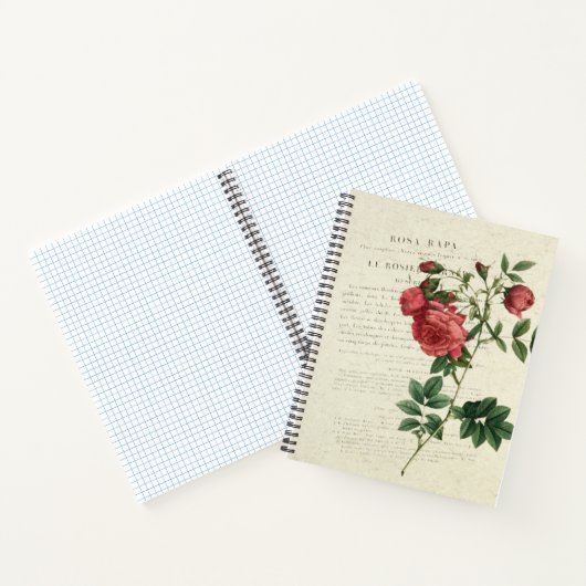 Rosa Rapa Vintag Notizblock (Innenseite)