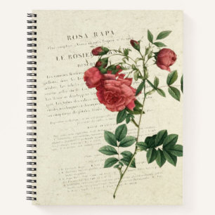 Rosa Rapa Vintage Notizblock
