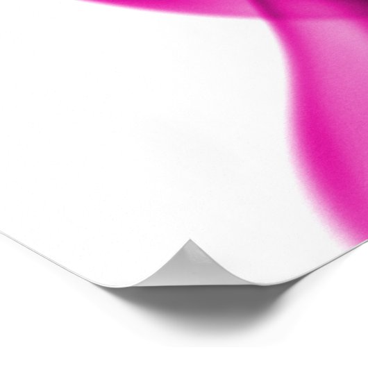 Rosa Rauch Poster (Ecke)