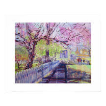 Rosa Redbud-Blüten in Williamsburg Virginia