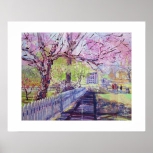 Rosa Redbud-Blüten in Williamsburg Virginia Poster