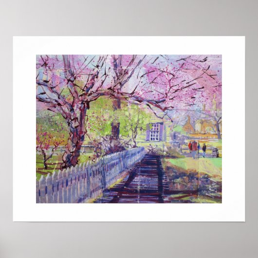 Rosa Redbud-Blüten in Williamsburg Virginia Poster (Vorne)