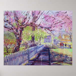 Rosa Redbud-Blüten in Williamsburg Virginia Poster