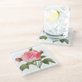 Rosa Redoute Rose Blume Untersetzer (Schrägansicht)