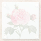 Rosa Redoute Rose Blume Untersetzer (Rückseite)
