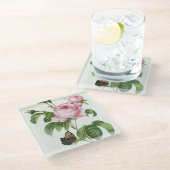 Rosa Redoute Rose Glass Untersetzer (Schrägansicht)