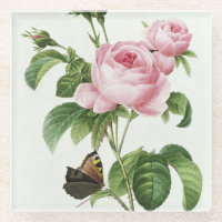 Rosa Redoute Rose Glass Untersetzer