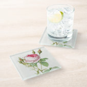 Rosa Redoute Rose Glass Untersetzer (Schrägansicht)